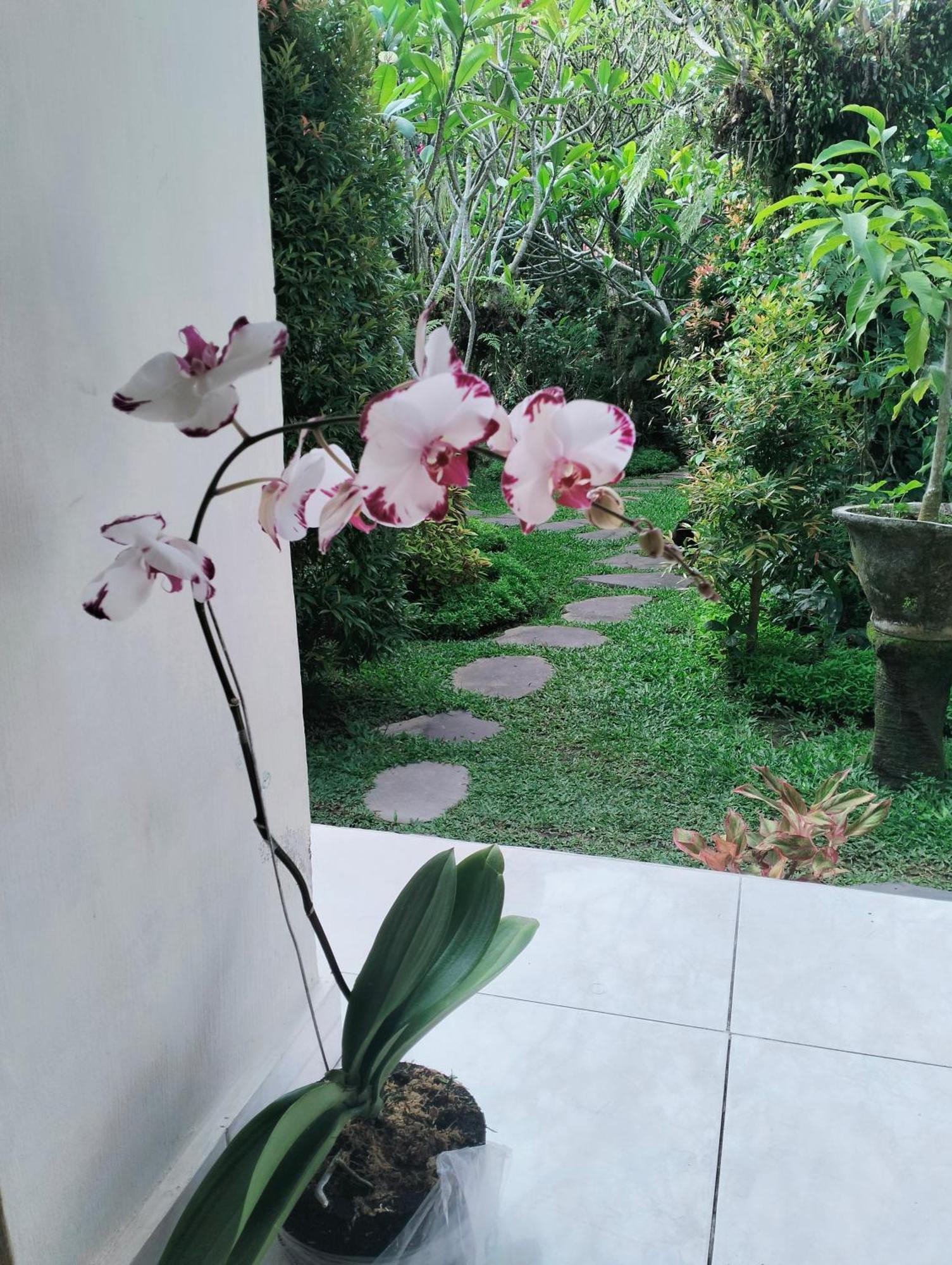 Appartement Cucu House à Ubud Extérieur photo